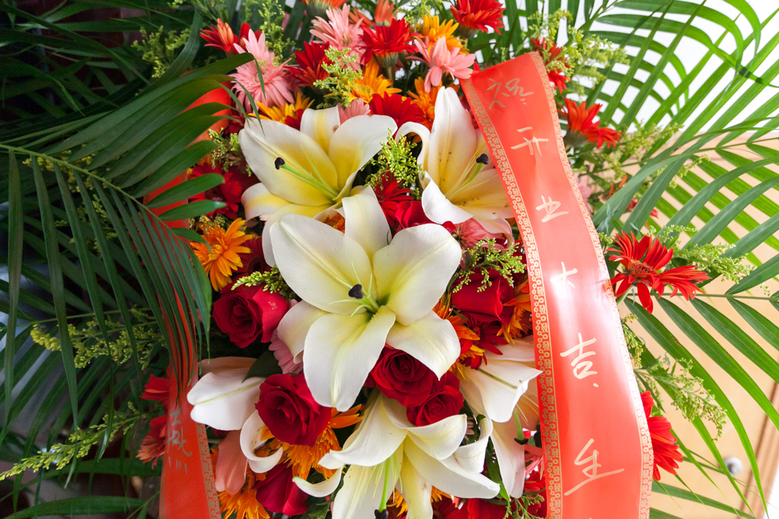 狮子会瑜伽俱乐部成立